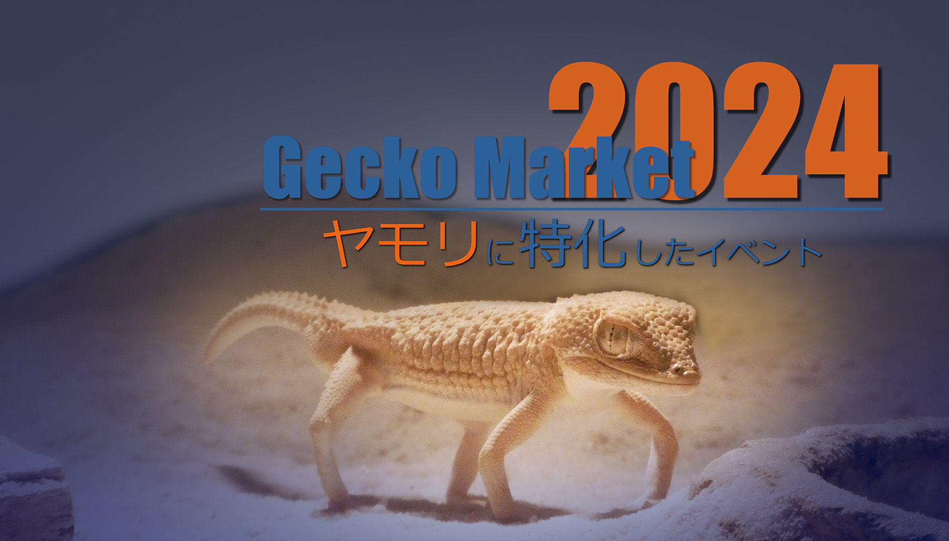 GeckoMarket 2024